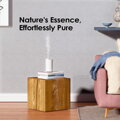 AIRVERSA Nebulizing aroma diffuser Scenta AN6 White