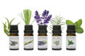RIO Essential Oil Collection 5 pcs